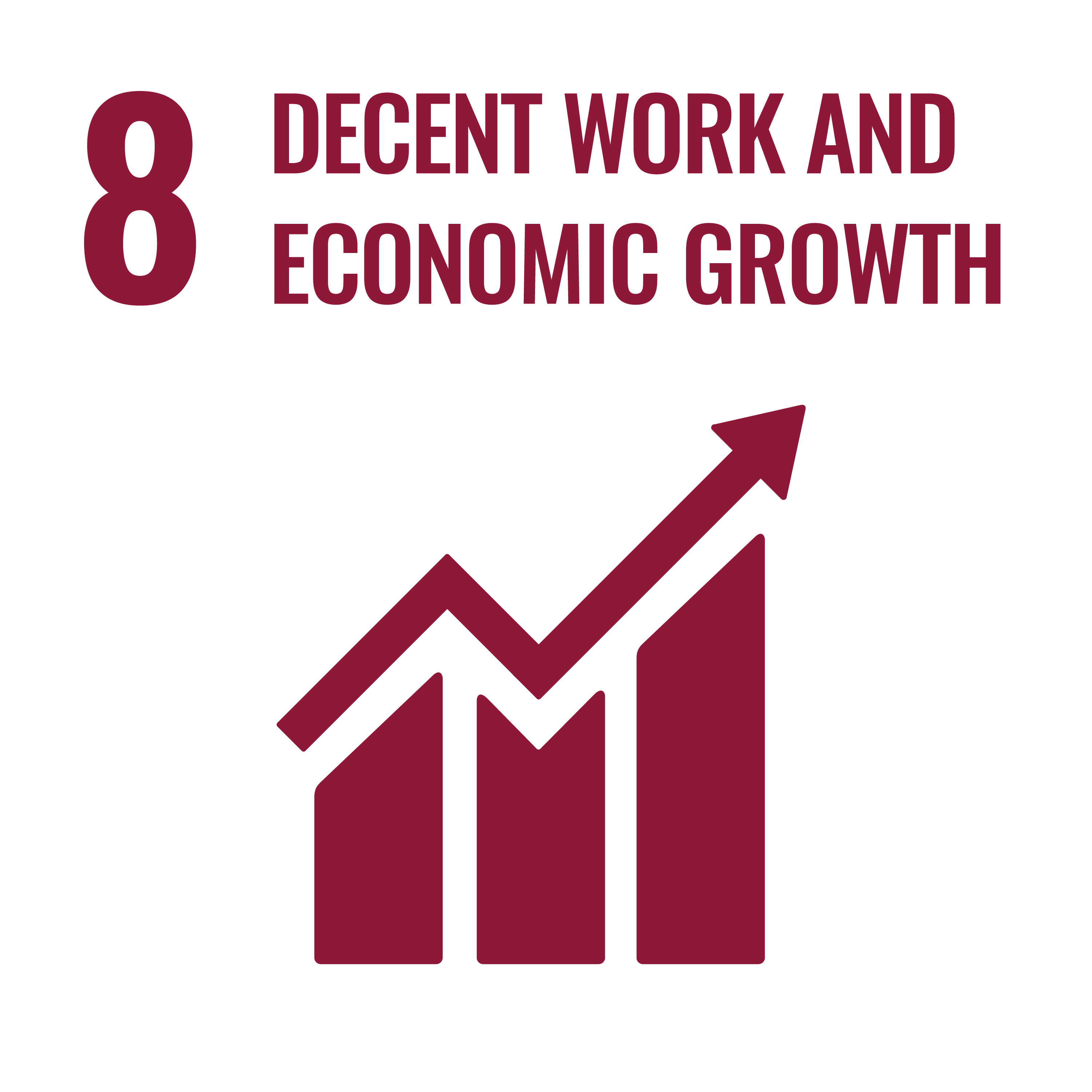 8 - Decent Work and Economic Growth