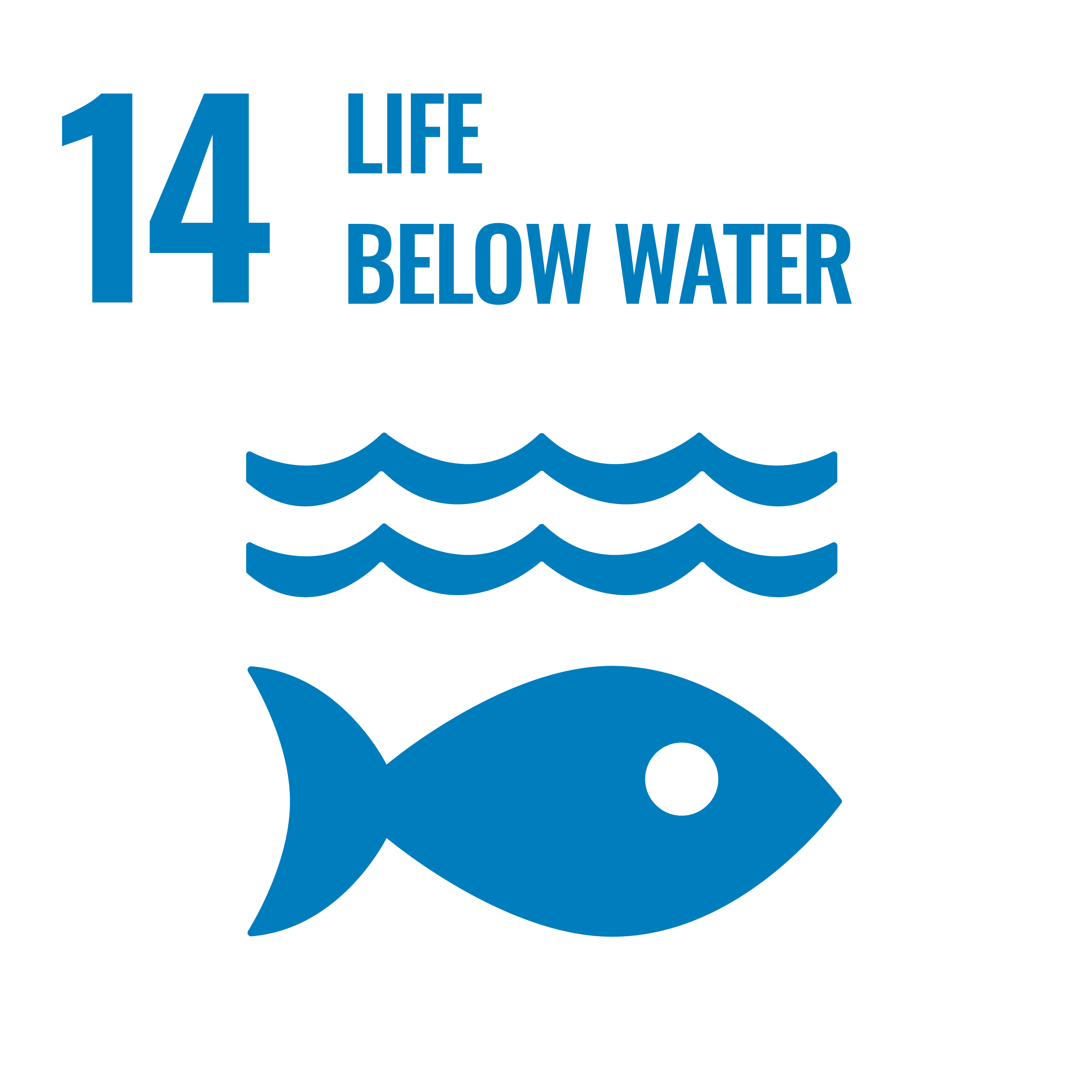 14 - Life below Water