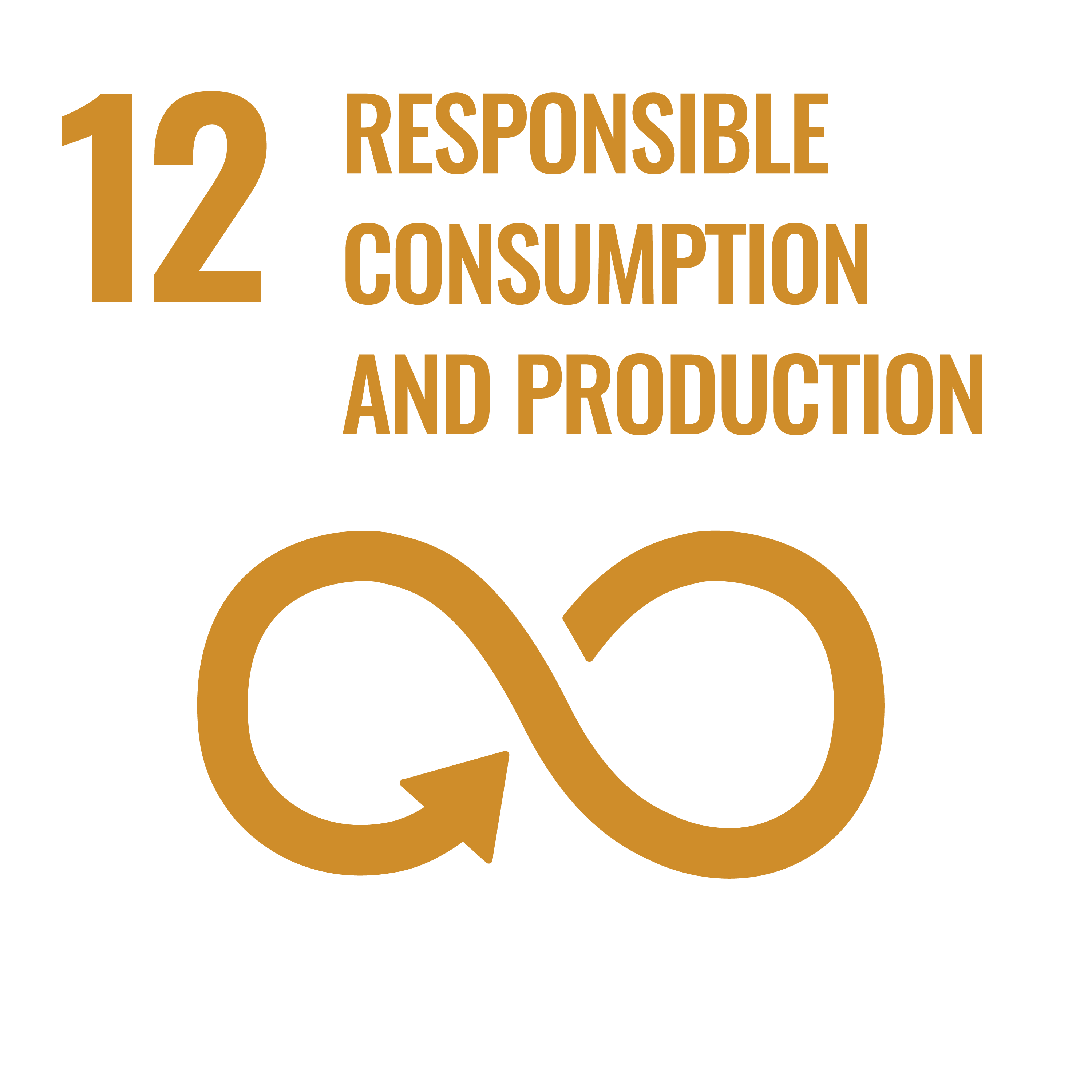 12 - Responsible Consumption and Production