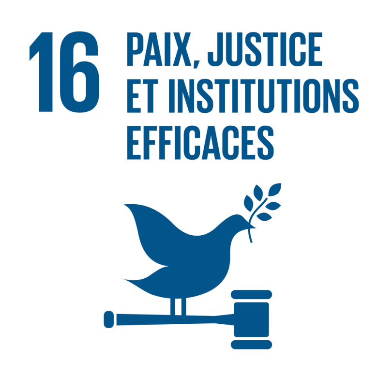 16 - Paix, justice et institutions efficaces