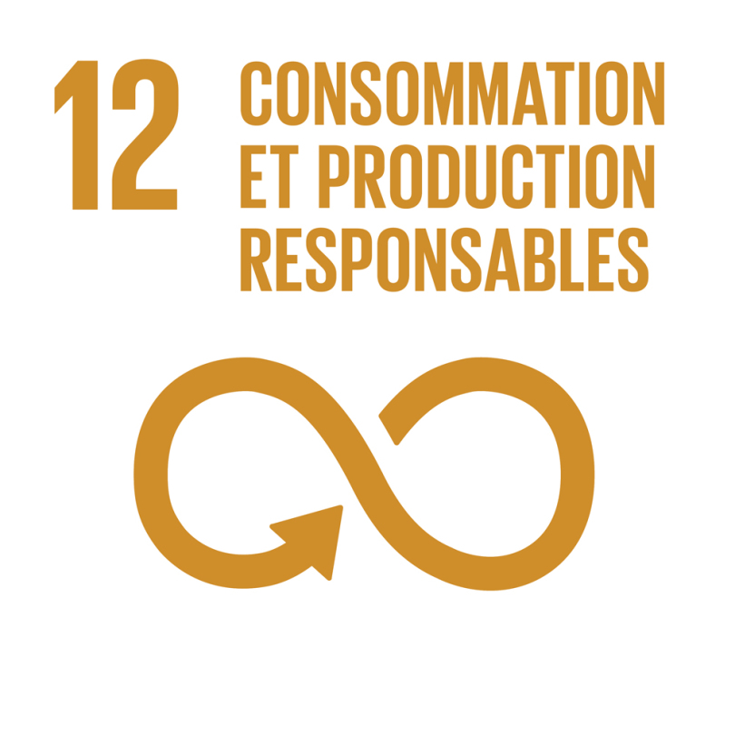 12 - Consommation et production responsables