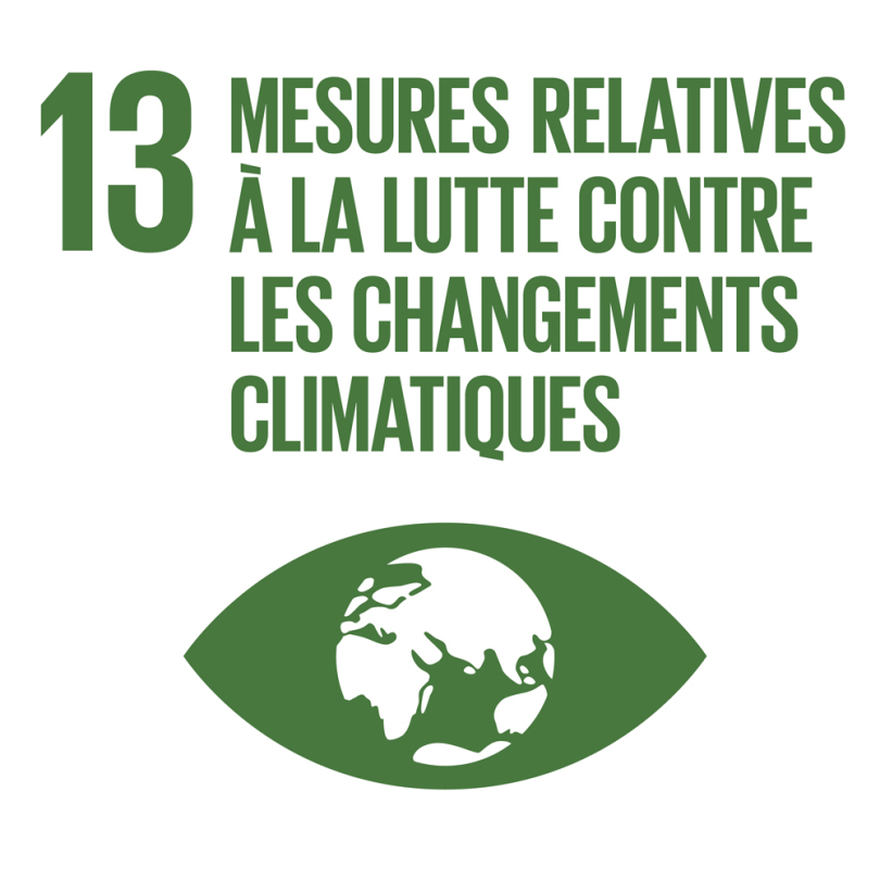  13 - Mesures relatives à la lutte contre les changements climatiques