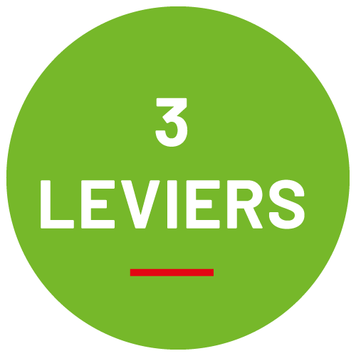 3 LEVIERS