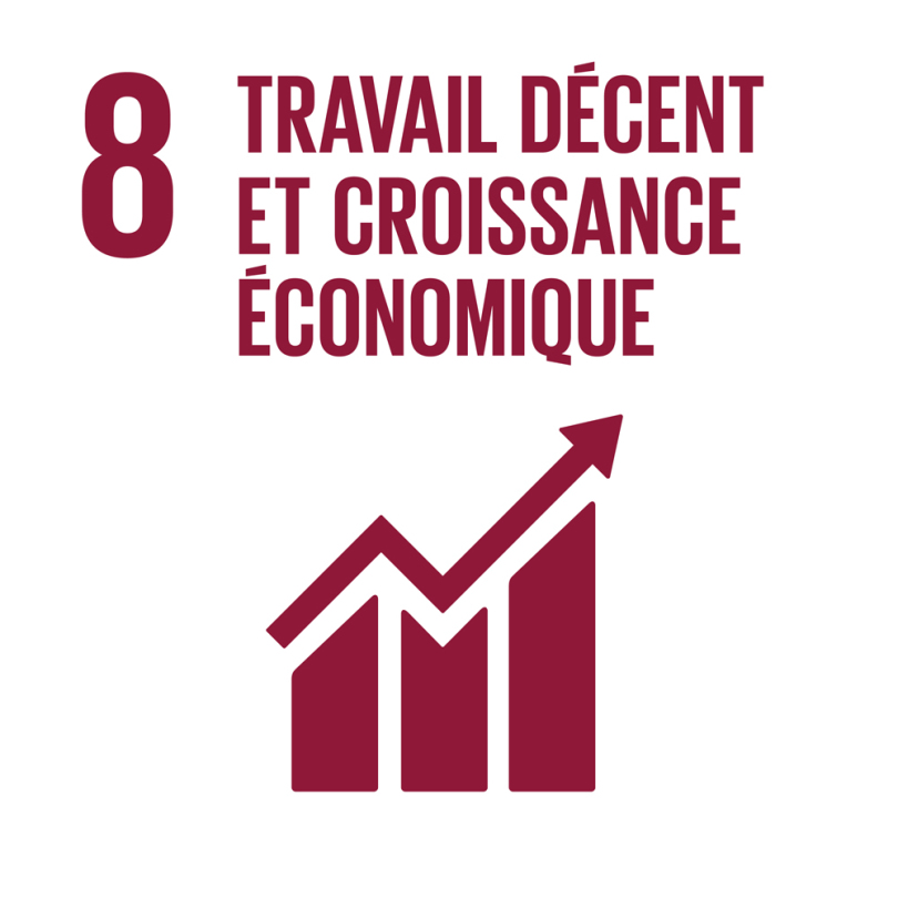 8 - Travail décent et croissance économique