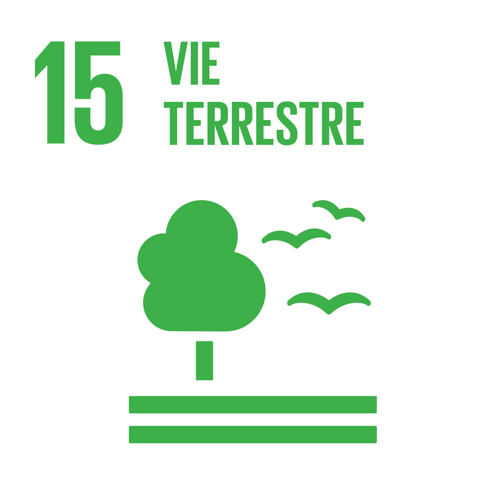 15 - Vie terrestre