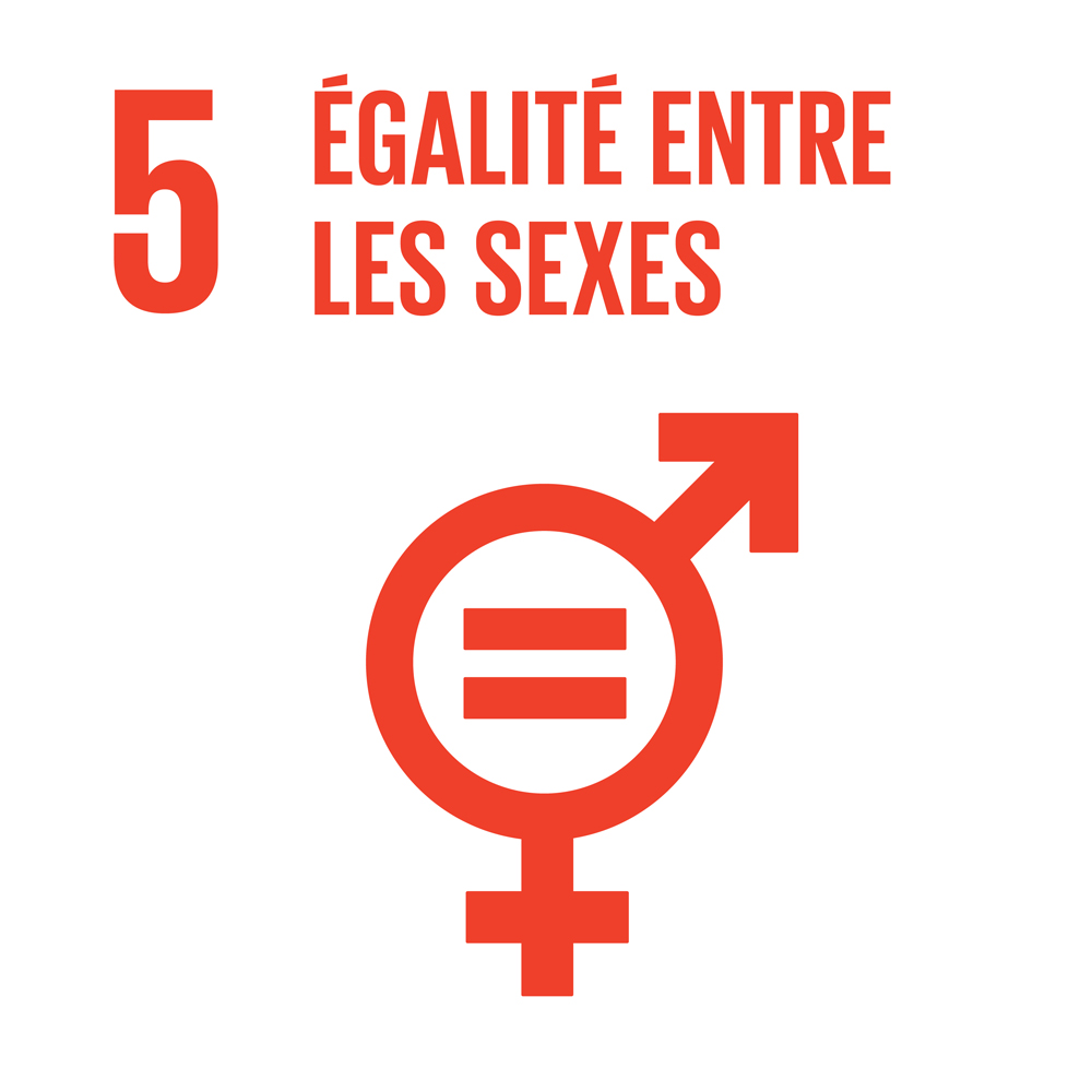 5 - Égalité entre les sexes