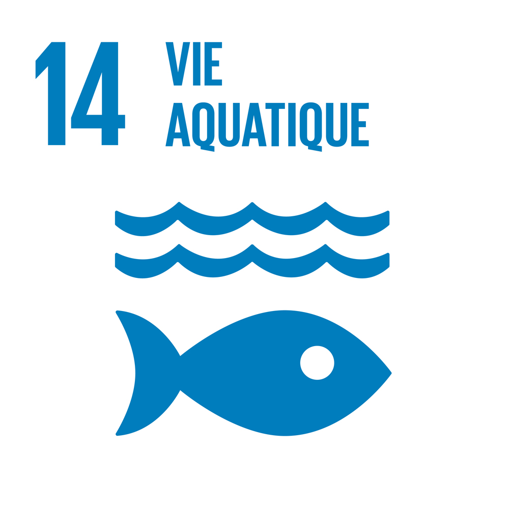 14 - Vie aquatique